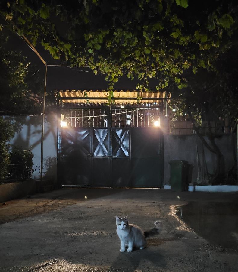 Unique Traditional House, Hosted By J&G ติรานา ภายนอก รูปภาพ