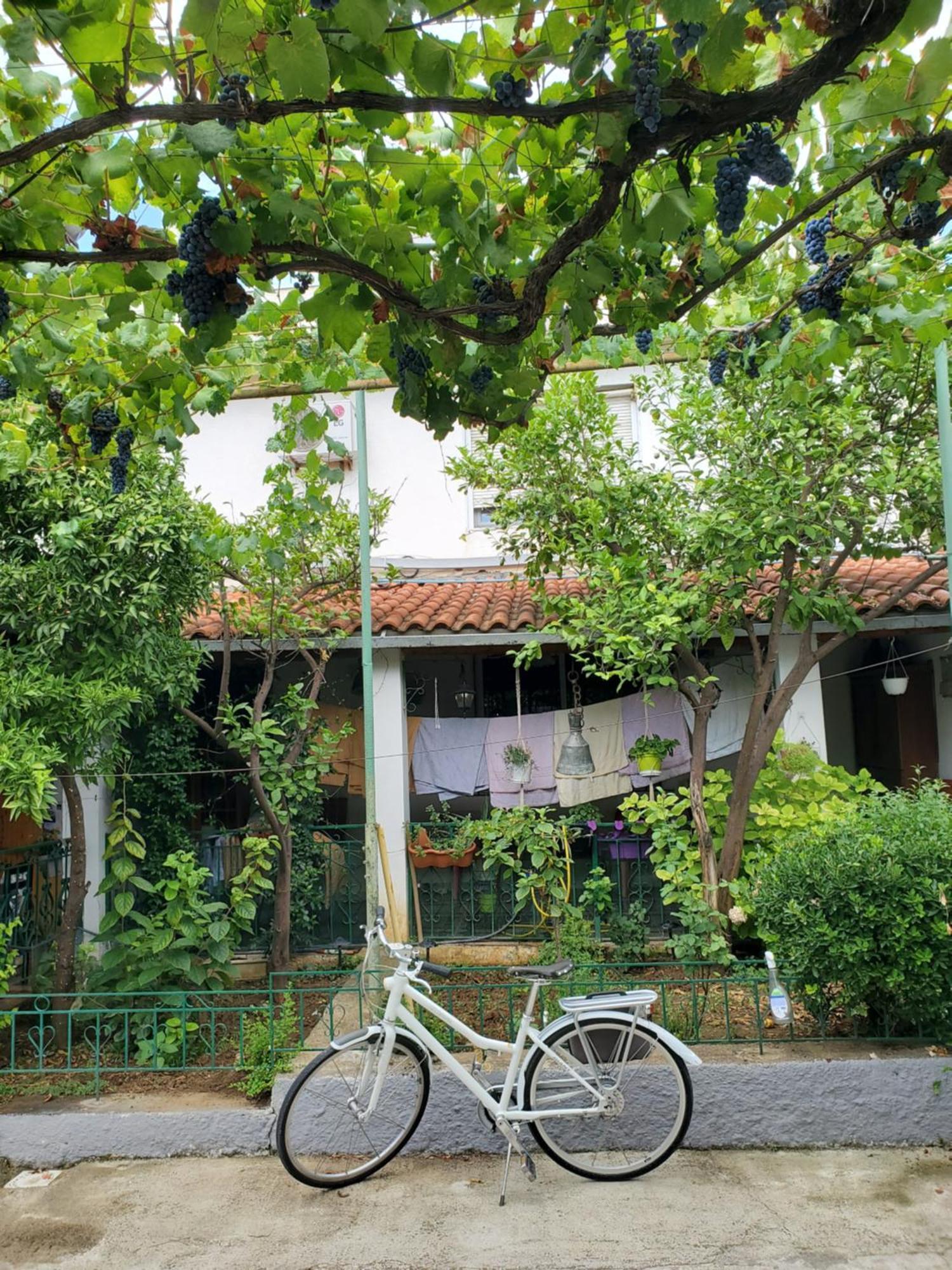 Unique Traditional House, Hosted By J&G ติรานา ภายนอก รูปภาพ